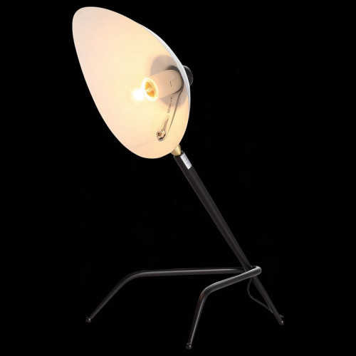 Настольная лампа декоративная ST-Luce Spruzzo SL305.404.01 фото 5