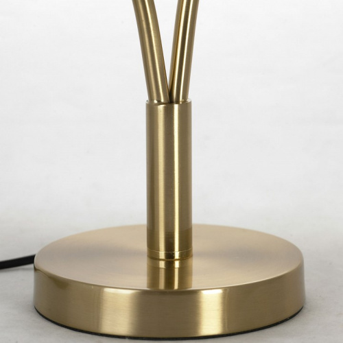 Настольная лампа декоративная Lussole Cleburne LSP-0612 фото 5