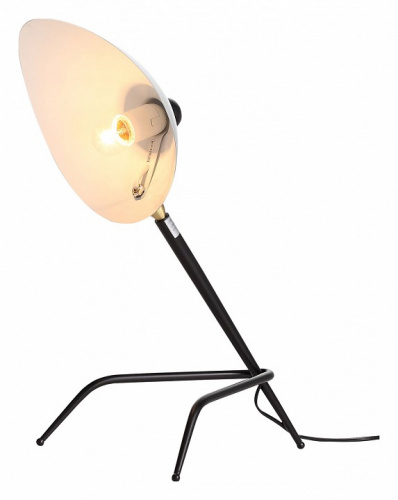 Настольная лампа декоративная ST-Luce Spruzzo SL305.404.01 фото 6