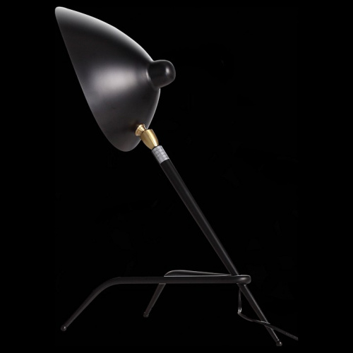 Настольная лампа декоративная ST-Luce Spruzzo SL305.404.01 фото 2
