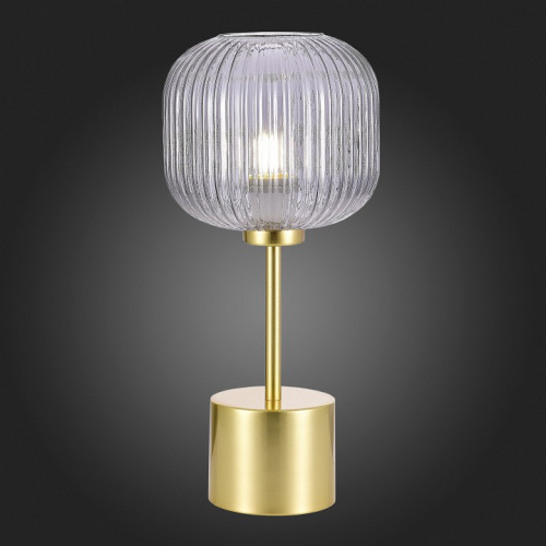 Настольная лампа декоративная ST-Luce Gran SL1154.304.01 фото 3