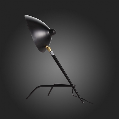 Настольная лампа декоративная ST-Luce Spruzzo SL305.404.01 фото 4