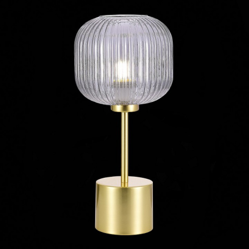 Настольная лампа декоративная ST-Luce Gran SL1154.304.01 фото 2