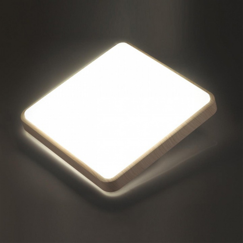 Накладной светильник Sonex Merto 7608/CL фото 2