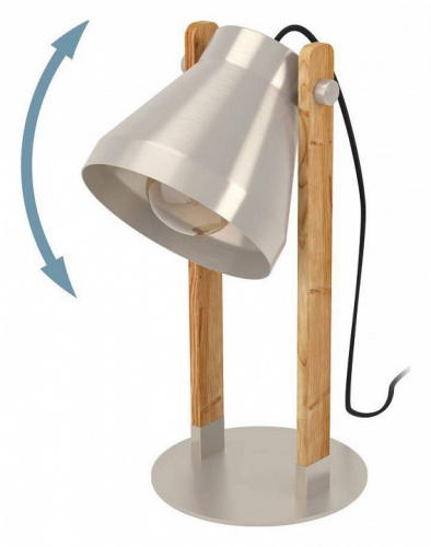 Настольная лампа декоративная Eglo Cawton 43953 фото 2