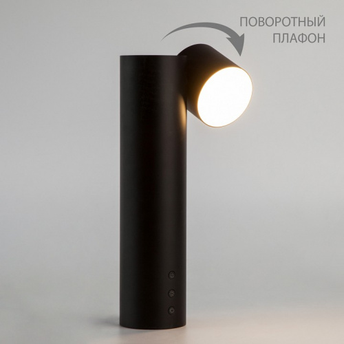 Настольная лампа декоративная Eurosvet Premier 80425/1 черный фото 5